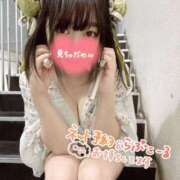 ヒメ日記 2026/03/05 08:59 投稿 ムム ピカソ