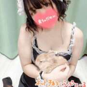 ヒメ日記 2026/03/05 16:15 投稿 ムム ピカソ