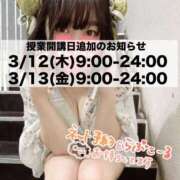 ヒメ日記 2026/03/11 11:41 投稿 ムム ピカソ