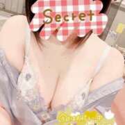 ヒメ日記 2026/03/13 11:14 投稿 ムム ピカソ