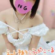 ヒメ日記 2026/03/15 11:58 投稿 ムム ピカソ