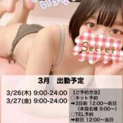 ヒメ日記 2026/03/23 14:32 投稿 ムム ピカソ