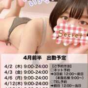 ヒメ日記 2026/03/30 12:46 投稿 ムム ピカソ