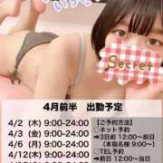 ヒメ日記 2026/03/31 18:15 投稿 ムム ピカソ