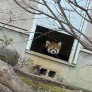 ヒメ日記 2026/03/18 08:00 投稿 中川 MadameRest(マダムレスト)