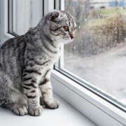 ヒメ日記 2026/03/19 09:04 投稿 中川 MadameRest(マダムレスト)