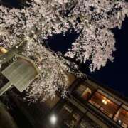 ヒメ日記 2026/03/29 09:10 投稿 中川 MadameRest(マダムレスト)