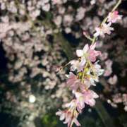 ヒメ日記 2026/04/01 08:21 投稿 中川 MadameRest(マダムレスト)