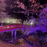 ヒメ日記 2026/04/06 18:29 投稿 中川 MadameRest(マダムレスト)