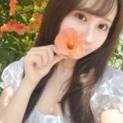 しおな ♡出勤♡ 姫コレクション
