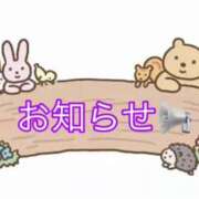 ヒメ日記 2026/05/22 12:56 投稿 つくし club さくら日本橋店
