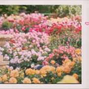 まき まき♡出勤 Lip Trip