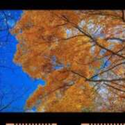 まき 🍂まき Lip Trip