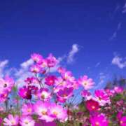 ヒメ日記 2026/09/12 17:35 投稿 まき Lip Trip
