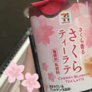 ヒメ日記 2026/03/31 19:46 投稿 みこと PINK PLANET