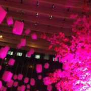 ヒメ日記 2026/04/02 03:15 投稿 白羽（しらは） 熟女の風俗最終章 大宮店