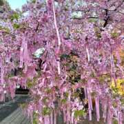 ヒメ日記 2026/03/05 22:20 投稿 きらり THE ESUTE 五反田店