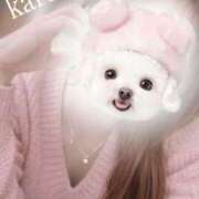 ヒメ日記 2026/03/17 21:02 投稿 かるあ consolation