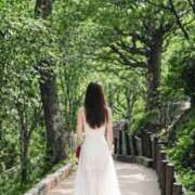 ヒメ日記 2026/07/15 09:00 投稿 かるあ consolation