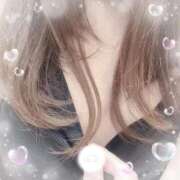 ヒメ日記 2026/03/08 12:38 投稿 逢沢 昼顔妻 五反田店