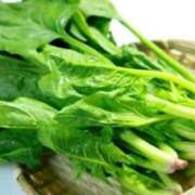 ヒメ日記 2026/03/14 12:08 投稿 逢沢 昼顔妻 五反田店