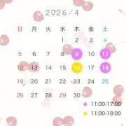 ヒメ日記 2026/03/29 12:47 投稿 逢沢 昼顔妻 五反田店