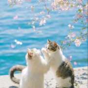 逢沢 おはようございます 昼顔妻 五反田店