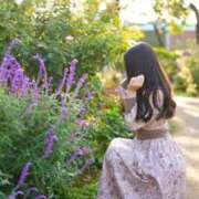 ヒメ日記 2026/02/28 09:02 投稿 つばき 横浜関内人妻城