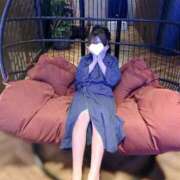 ヒメ日記 2026/06/06 20:27 投稿 羽月ふわり ウルトラプラチナム