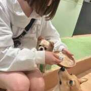 ヒメ日記 2026/03/17 18:37 投稿 うた Lounge Yoki東京