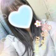 ヒメ日記 2026/04/10 10:10 投稿 えみ 電車ごっこ