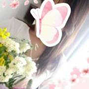 小鈴寧々 ３月16日のお礼です?? 五十路マダム 浜松店(カサブランカグループ)