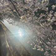 ヒメ日記 2026/04/18 09:29 投稿 まみ エデンR