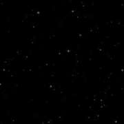 ヒメ日記 2026/03/06 14:04 投稿 【S】せいは E+五反田