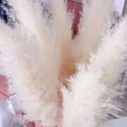 ヒメ日記 2026/03/08 17:14 投稿 【S】せいは E+五反田