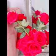 ヒメ日記 2026/03/10 11:41 投稿 【S】せいは E+五反田