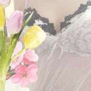 ヒメ日記 2026/03/28 10:14 投稿 優奈(ゆうな) PLUS難波店