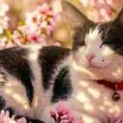 ヒメ日記 2026/03/07 21:29 投稿 水野こと ウフフな40。ムフフな50。。（横浜ハレ系）