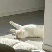 ヒメ日記 2026/03/01 17:44 投稿 新人・椎名(しいな) グランドオペラ福岡