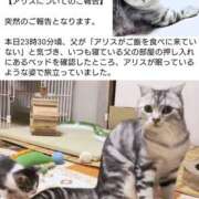 ヒメ日記 2026/05/23 16:00 投稿 なみ 性腺熟女100％本店（デリヘル市場）