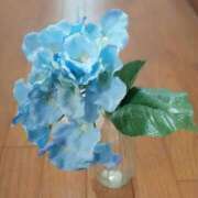 ヒメ日記 2026/03/15 09:00 投稿 色香美沙（いろかみさ） 五十路マダムエクスプレス厚木店(カサブランカグループ)