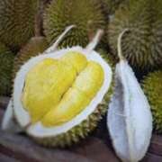 ヒメ日記 2026/03/31 12:40 投稿 色香美沙（いろかみさ） 五十路マダムエクスプレス厚木店(カサブランカグループ)