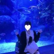 ヒメ日記 2026/06/24 21:16 投稿 りんか 神田はっち