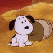 ヒメ日記 2026/03/14 19:02 投稿 こぐま モアグループ小山人妻花壇