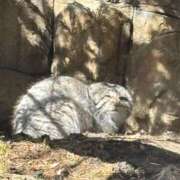 ヒメ日記 2026/03/22 23:44 投稿 こぐま モアグループ小山人妻花壇