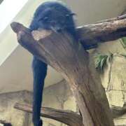 ヒメ日記 2026/04/19 23:47 投稿 こぐま モアグループ小山人妻花壇