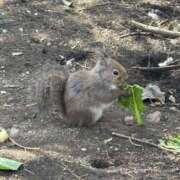 ヒメ日記 2026/04/23 18:57 投稿 こぐま モアグループ小山人妻花壇
