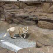 ヒメ日記 2026/04/24 17:00 投稿 こぐま モアグループ小山人妻花壇