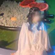 ヒメ日記 2026/03/25 14:01 投稿 ミラン PALCO(パルコ)