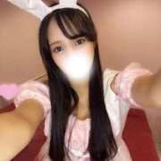 ヒメ日記 2026/04/12 02:29 投稿 ミラン PALCO(パルコ)